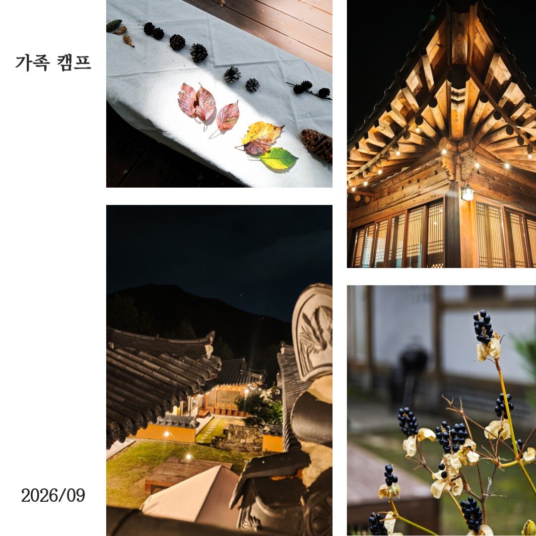 2026년 9월 가족캠프 '마음 충전 숲 캠프'를 진행하였습니다.
